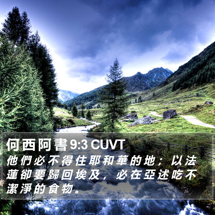 何 西 阿 書 9:3 CUVT Bible Study