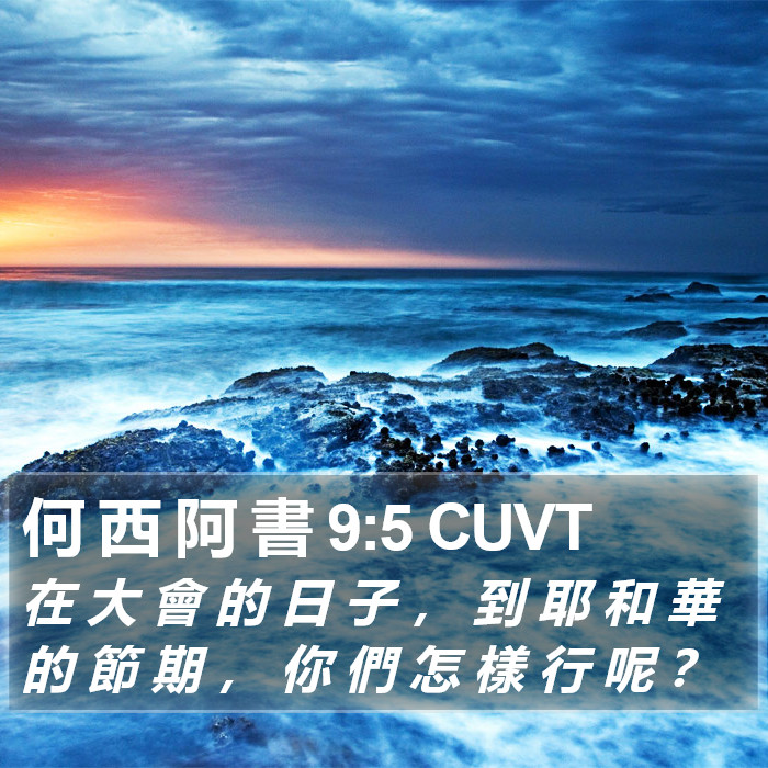 何 西 阿 書 9:5 CUVT Bible Study