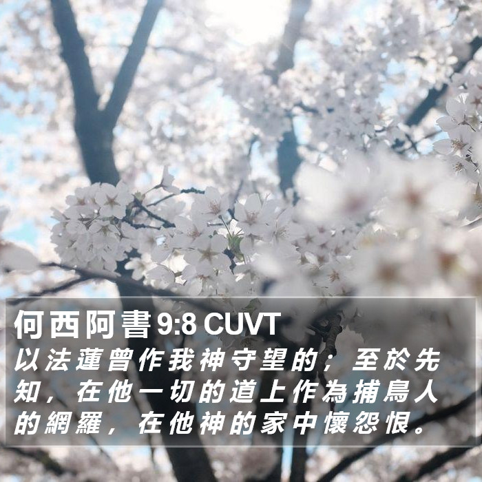 何 西 阿 書 9:8 CUVT Bible Study