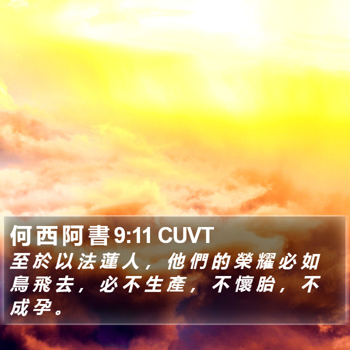 何 西 阿 書 9:11 CUVT Bible Study