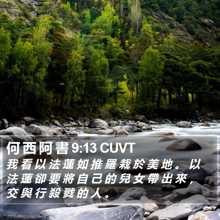 何 西 阿 書 9:13 CUVT Bible Study