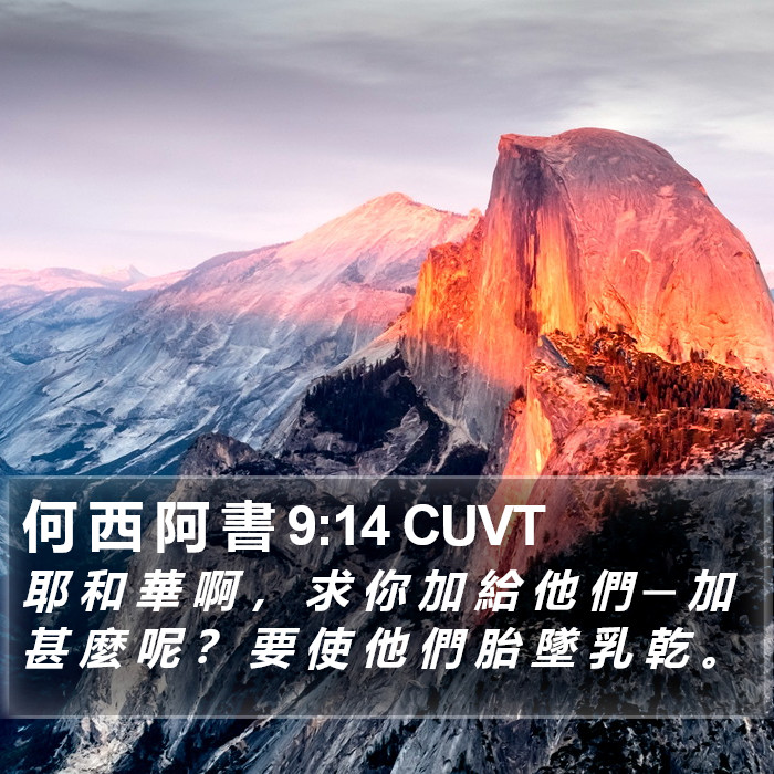 何 西 阿 書 9:14 CUVT Bible Study