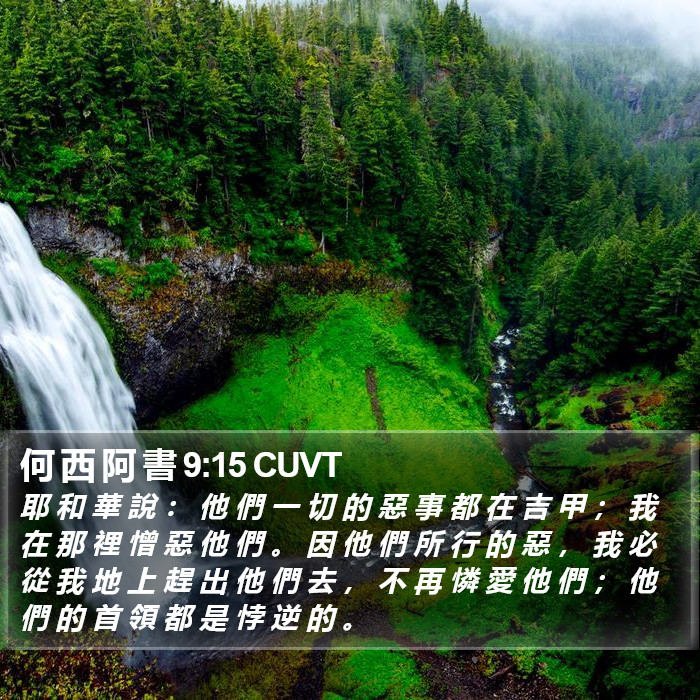 何 西 阿 書 9:15 CUVT Bible Study