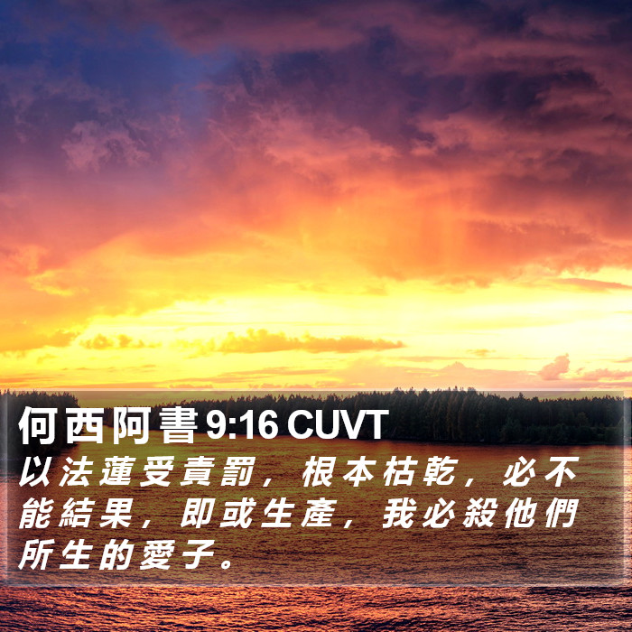 何 西 阿 書 9:16 CUVT Bible Study