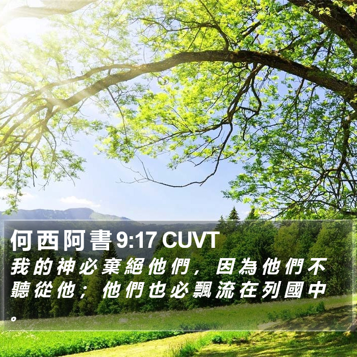 何 西 阿 書 9:17 CUVT Bible Study
