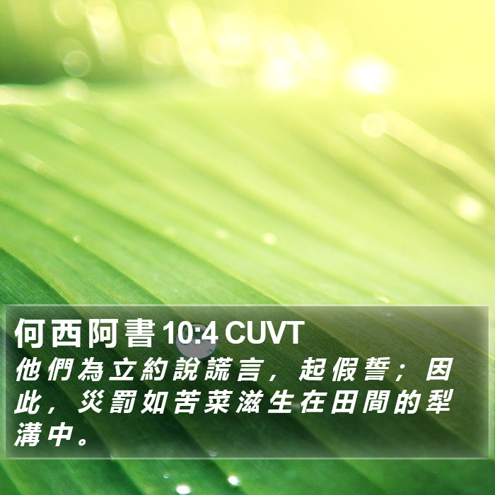 何 西 阿 書 10:4 CUVT Bible Study