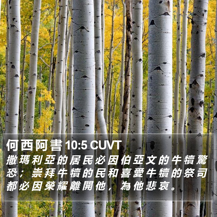 何 西 阿 書 10:5 CUVT Bible Study