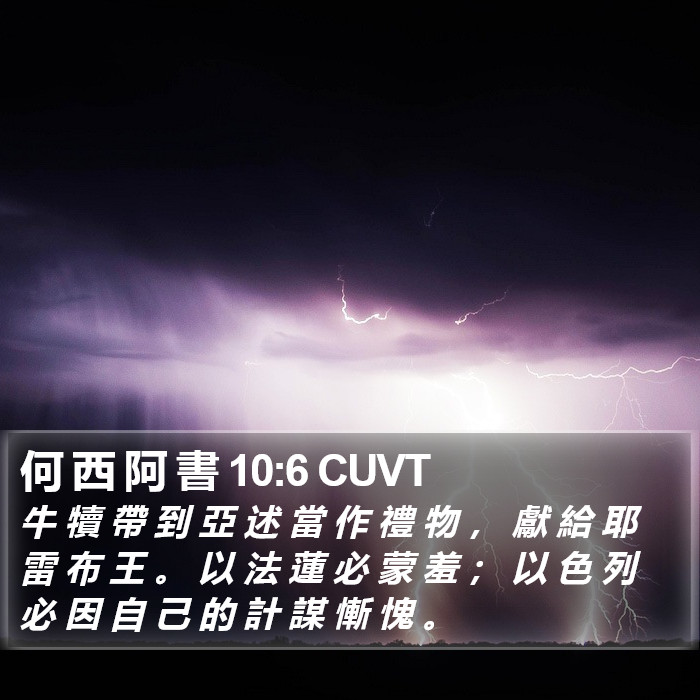 何 西 阿 書 10:6 CUVT Bible Study