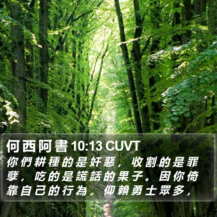 何 西 阿 書 10:13 CUVT Bible Study