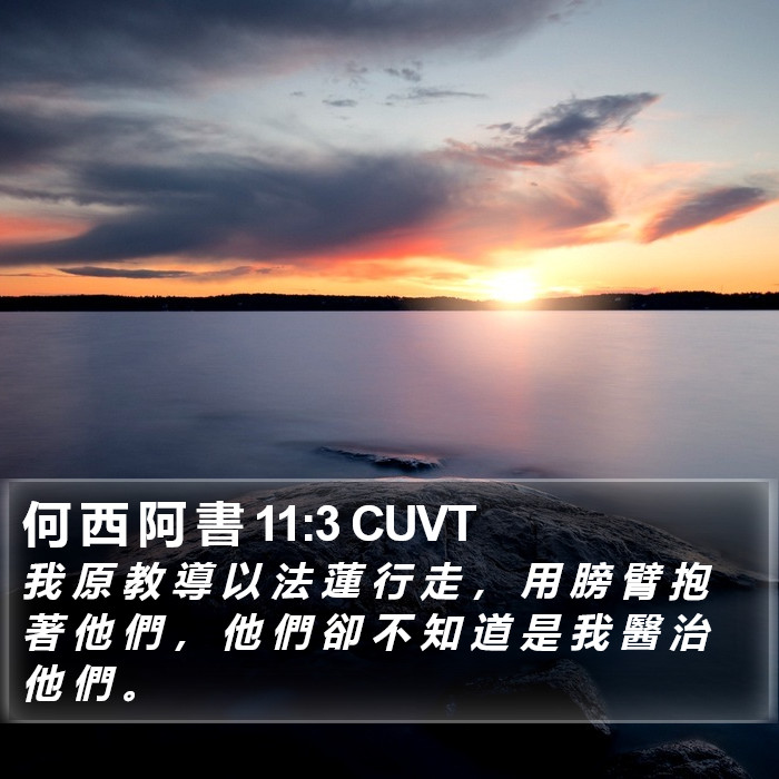 何 西 阿 書 11:3 CUVT Bible Study