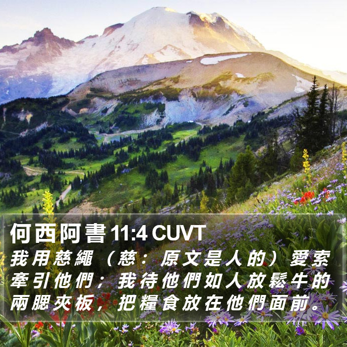 何 西 阿 書 11:4 CUVT Bible Study