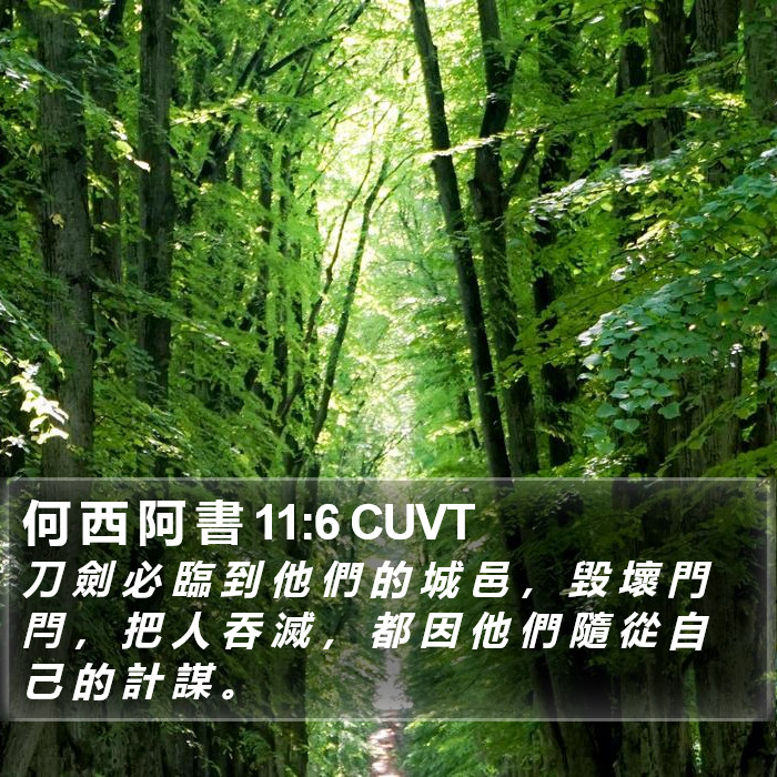 何 西 阿 書 11:6 CUVT Bible Study