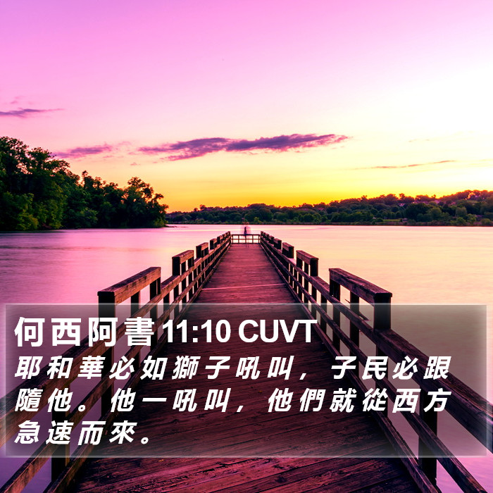 何 西 阿 書 11:10 CUVT Bible Study