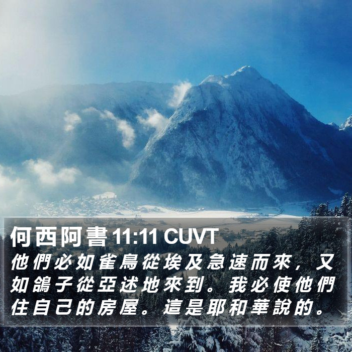 何 西 阿 書 11:11 CUVT Bible Study