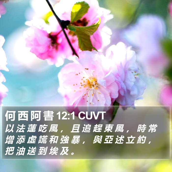 何 西 阿 書 12:1 CUVT Bible Study