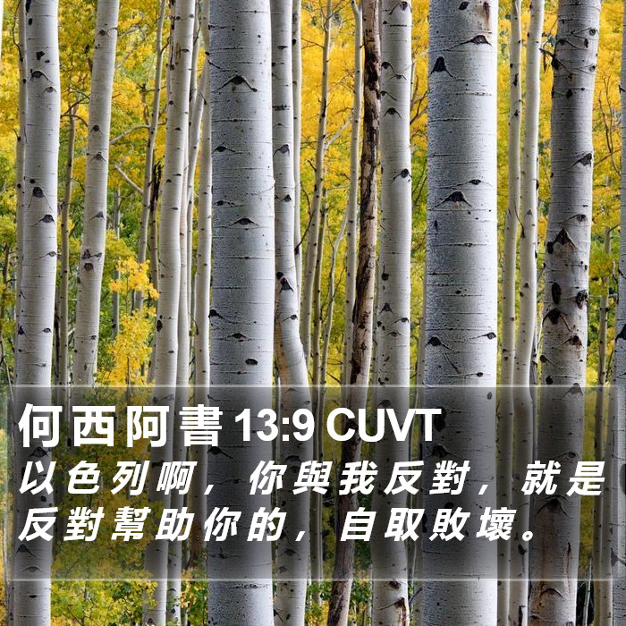 何 西 阿 書 13:9 CUVT Bible Study