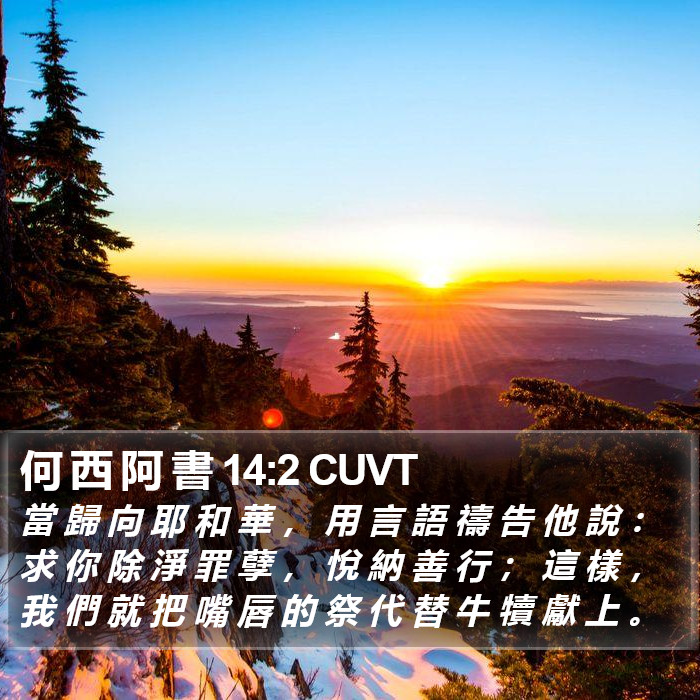 何 西 阿 書 14:2 CUVT Bible Study