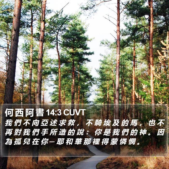 何 西 阿 書 14:3 CUVT Bible Study