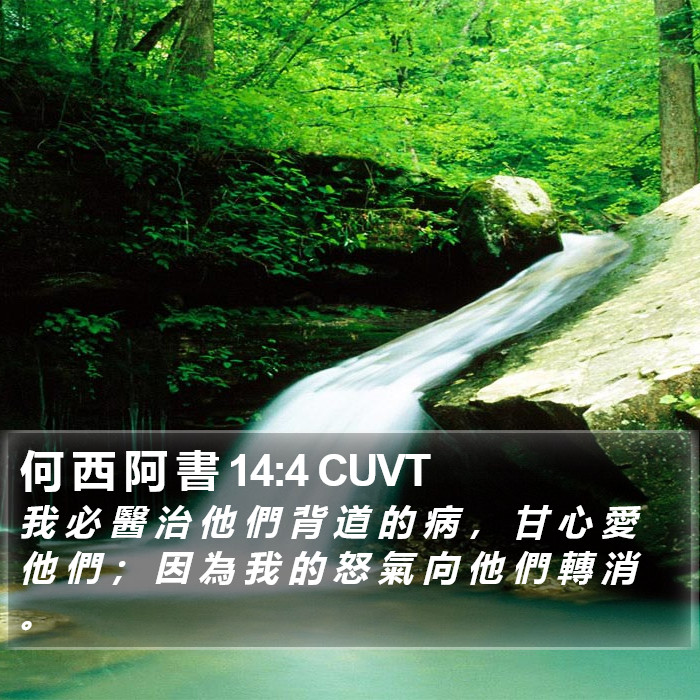 何 西 阿 書 14:4 CUVT Bible Study