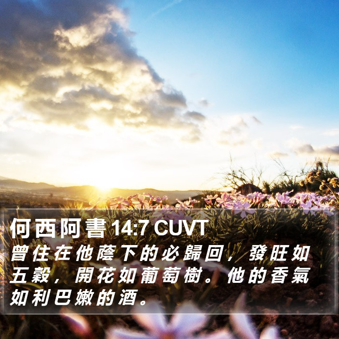 何 西 阿 書 14:7 CUVT Bible Study