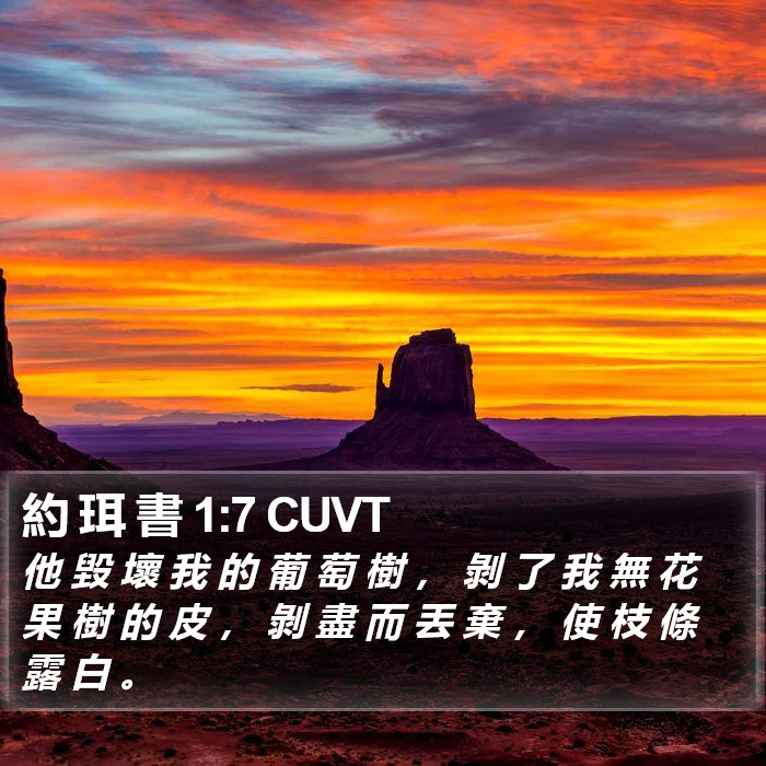 約 珥 書 1:7 CUVT Bible Study