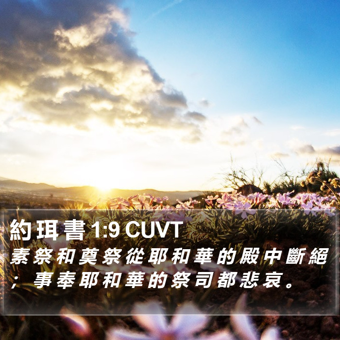 約 珥 書 1:9 CUVT Bible Study