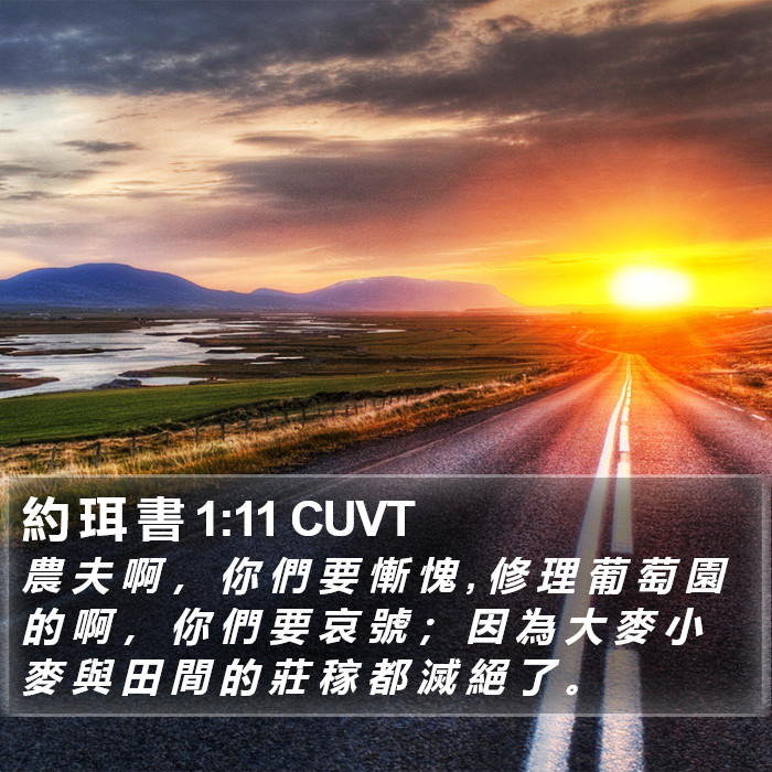 約 珥 書 1:11 CUVT Bible Study