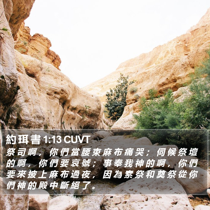 約 珥 書 1:13 CUVT Bible Study