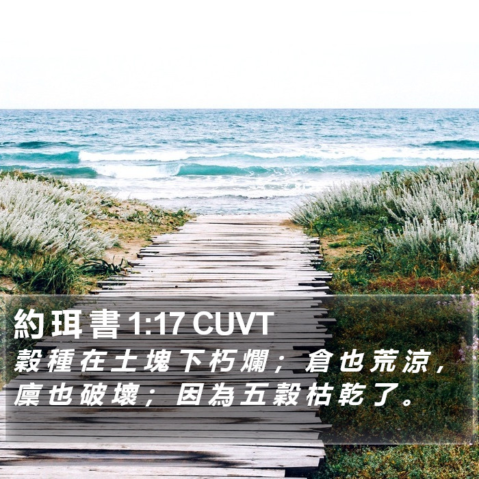 約 珥 書 1:17 CUVT Bible Study