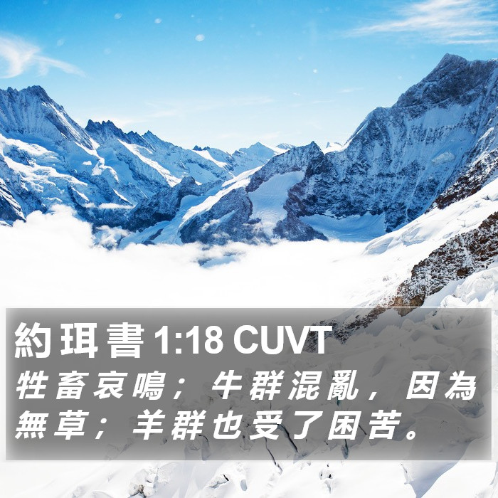 約 珥 書 1:18 CUVT Bible Study