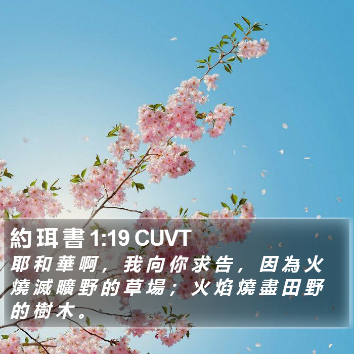 約 珥 書 1:19 CUVT Bible Study