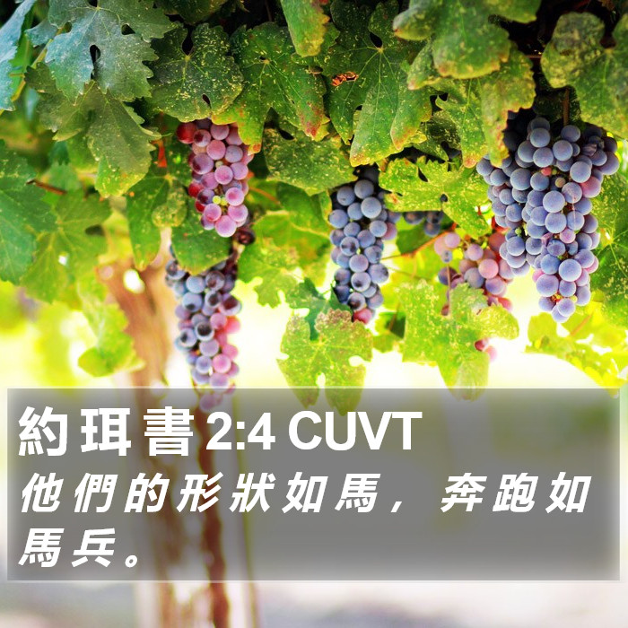 約 珥 書 2:4 CUVT Bible Study