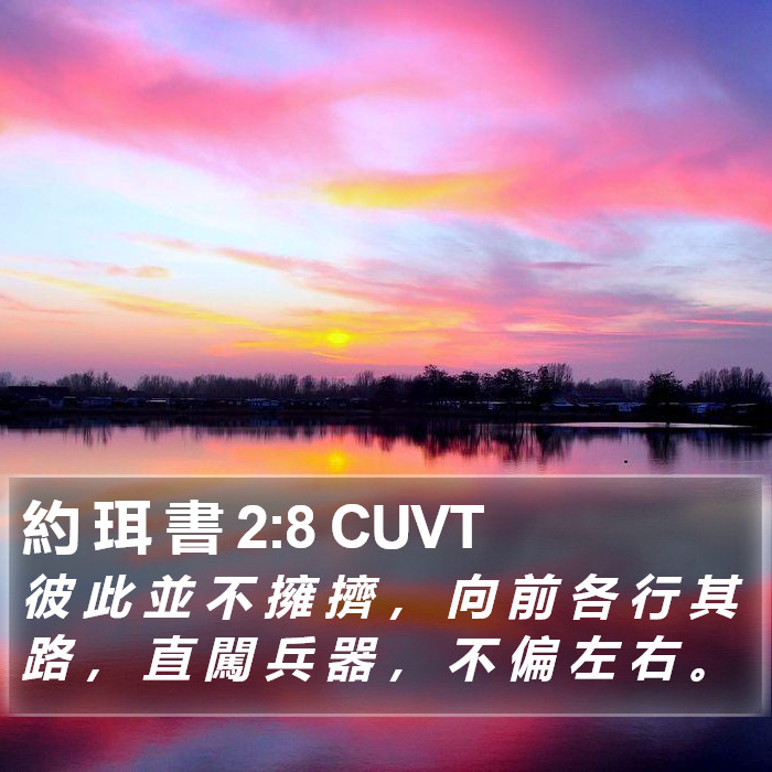約 珥 書 2:8 CUVT Bible Study