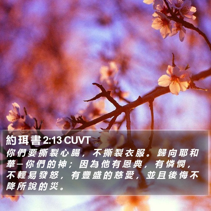 約 珥 書 2:13 CUVT Bible Study