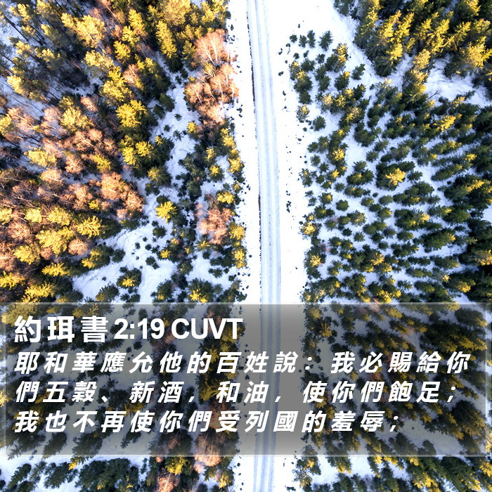 約 珥 書 2:19 CUVT Bible Study