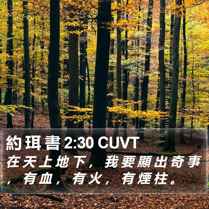 約 珥 書 2:30 CUVT Bible Study