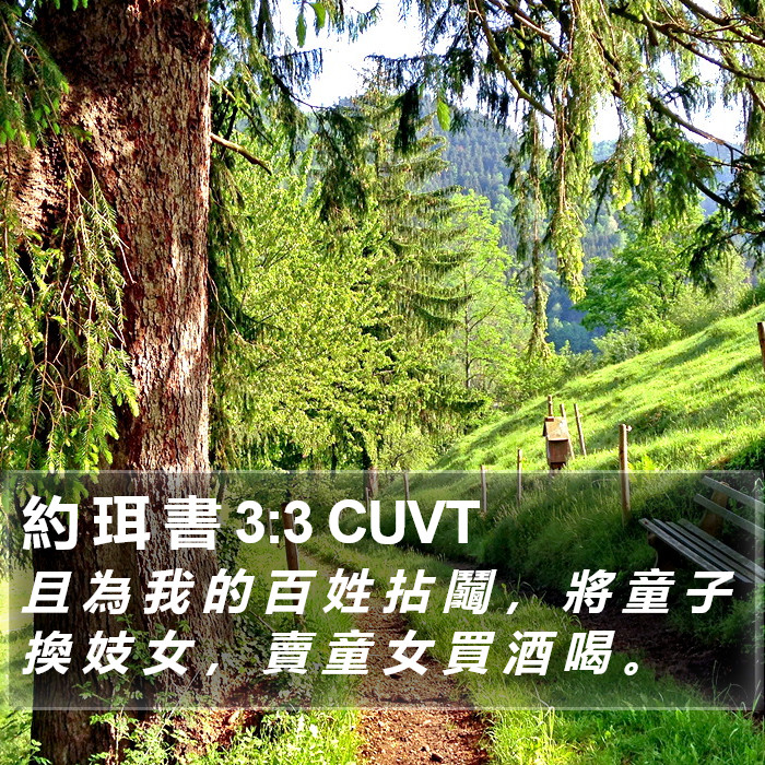 約 珥 書 3:3 CUVT Bible Study