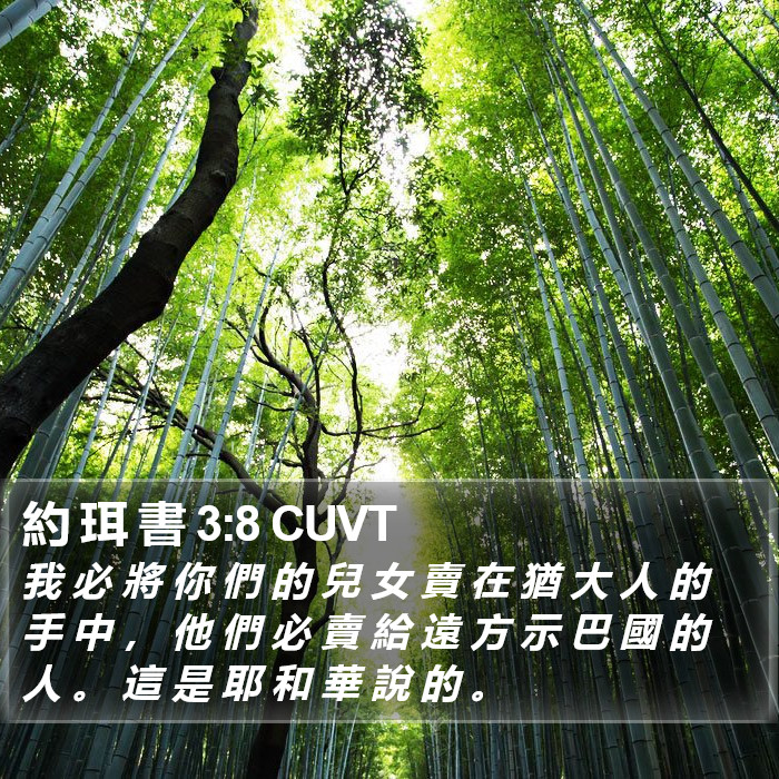 約 珥 書 3:8 CUVT Bible Study