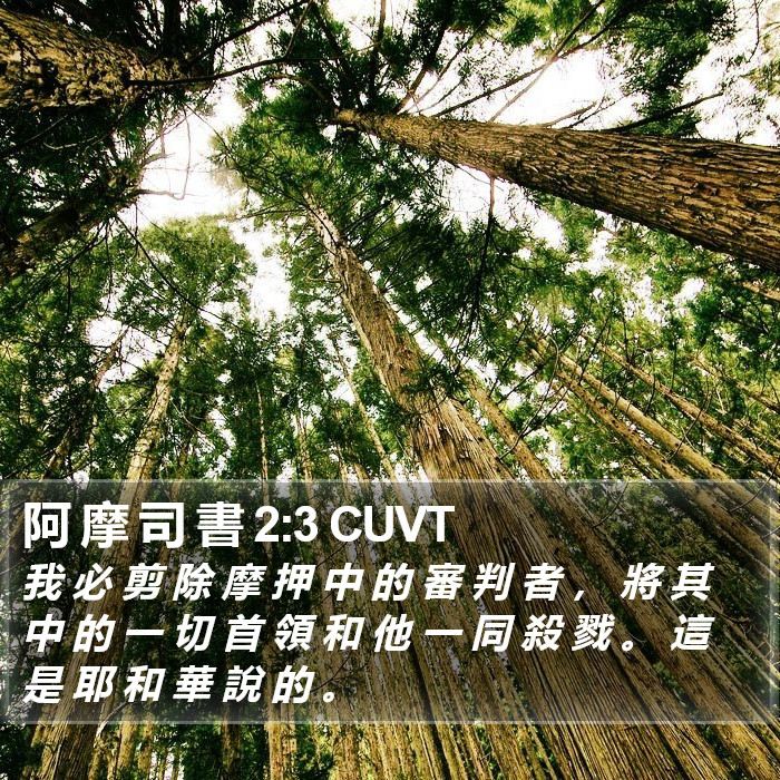 阿 摩 司 書 2:3 CUVT Bible Study