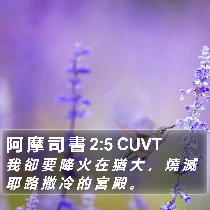 阿 摩 司 書 2:5 CUVT Bible Study