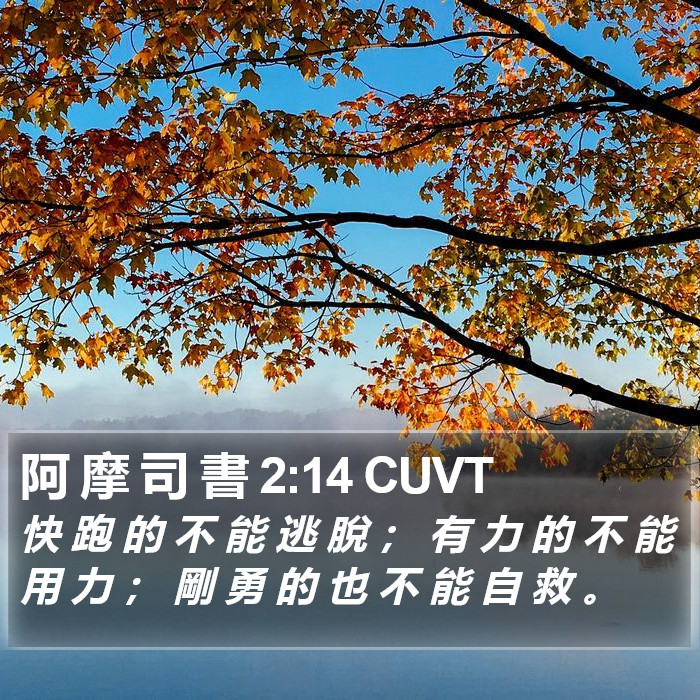 阿 摩 司 書 2:14 CUVT Bible Study