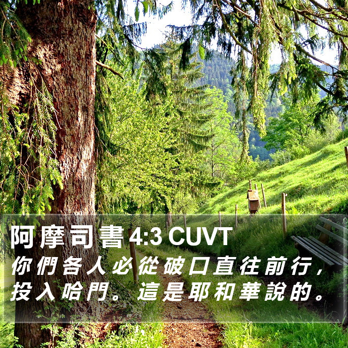 阿 摩 司 書 4:3 CUVT Bible Study