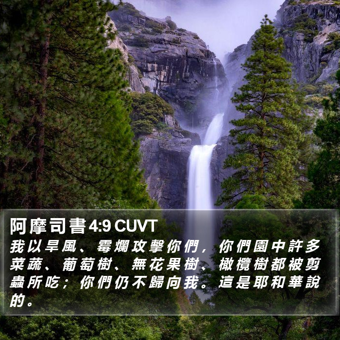 阿 摩 司 書 4:9 CUVT Bible Study