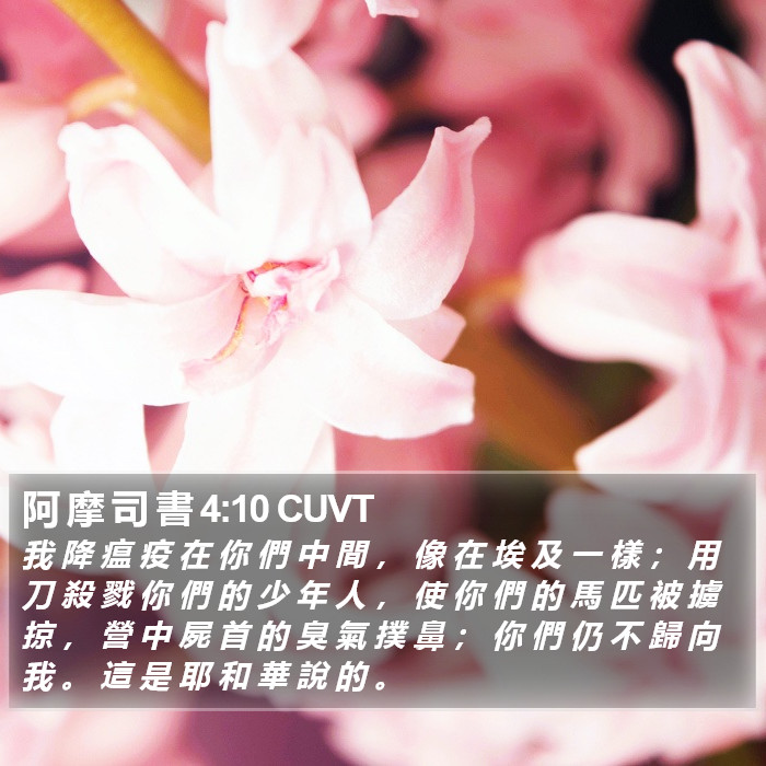 阿 摩 司 書 4:10 CUVT Bible Study