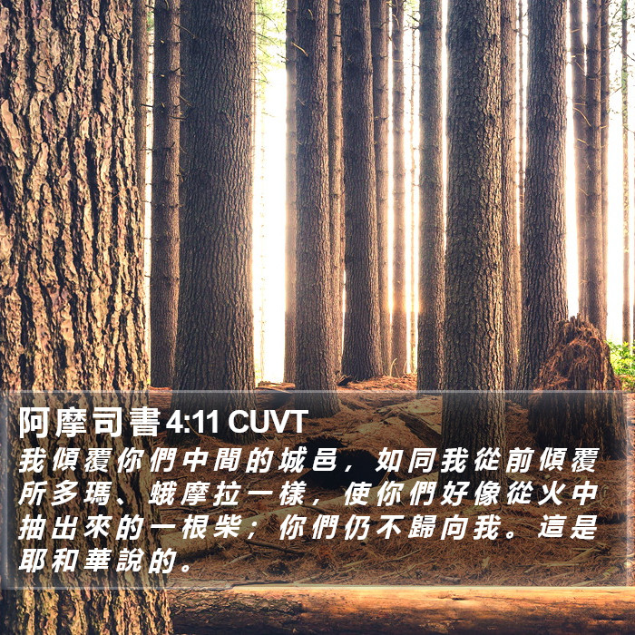 阿 摩 司 書 4:11 CUVT Bible Study