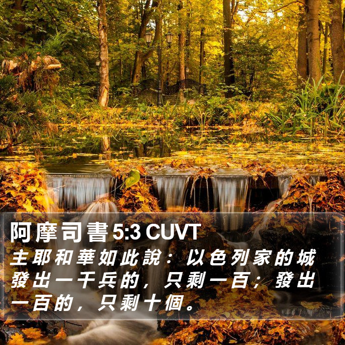 阿 摩 司 書 5:3 CUVT Bible Study