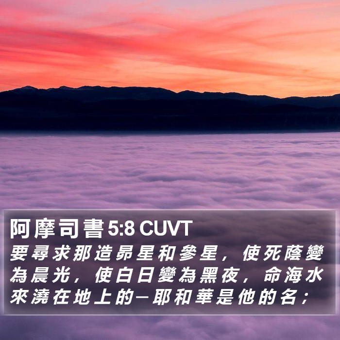 阿 摩 司 書 5:8 CUVT Bible Study