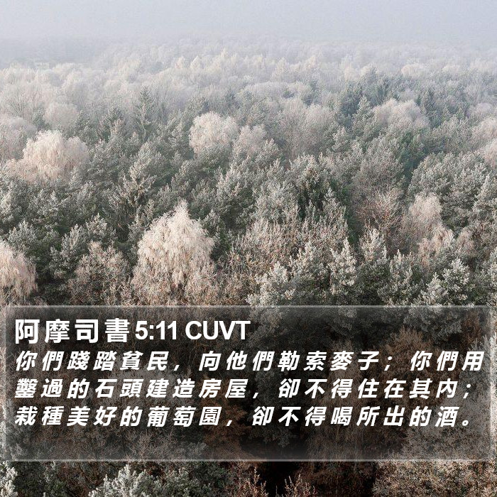 阿 摩 司 書 5:11 CUVT Bible Study