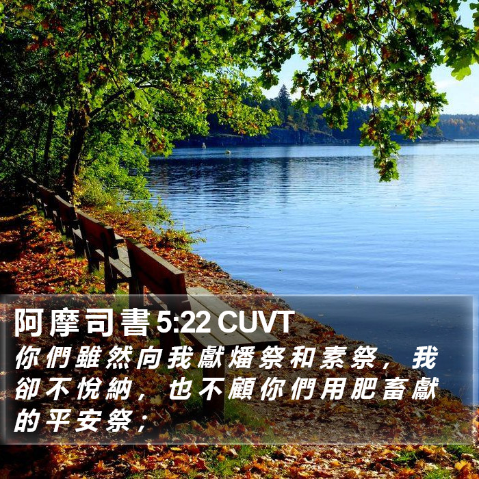 阿 摩 司 書 5:22 CUVT Bible Study