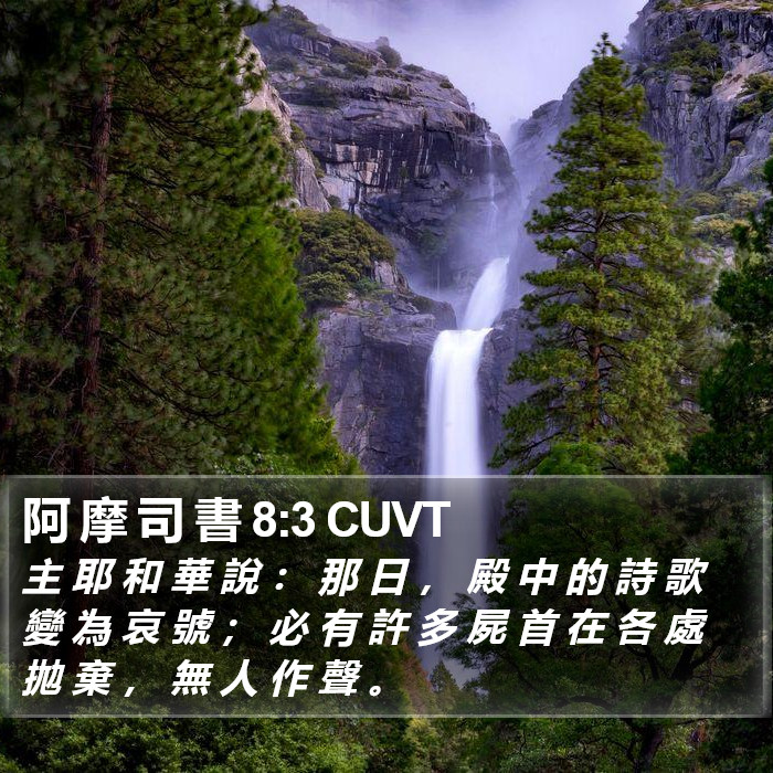 阿 摩 司 書 8:3 CUVT Bible Study